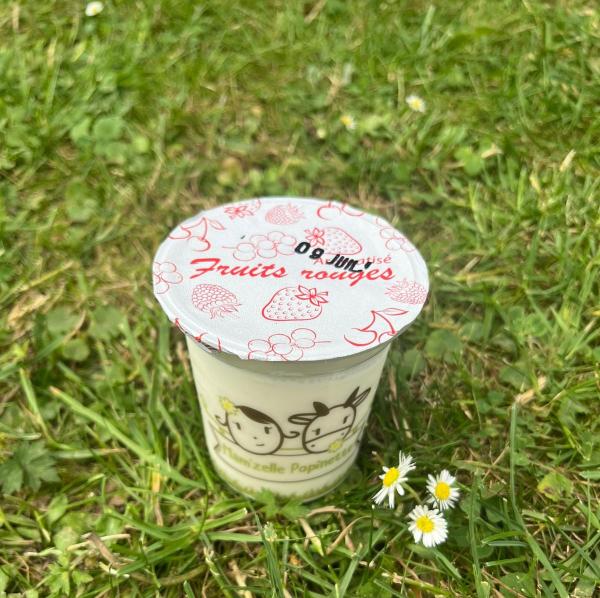 YAOURT AROMATISE AUX FRUITS ROUGES